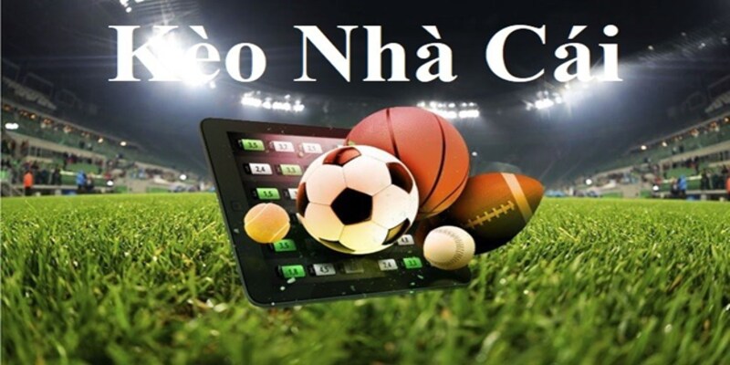 Sân chơi cung cấp mức cược cao nhất và các chương trình thưởng phong phú